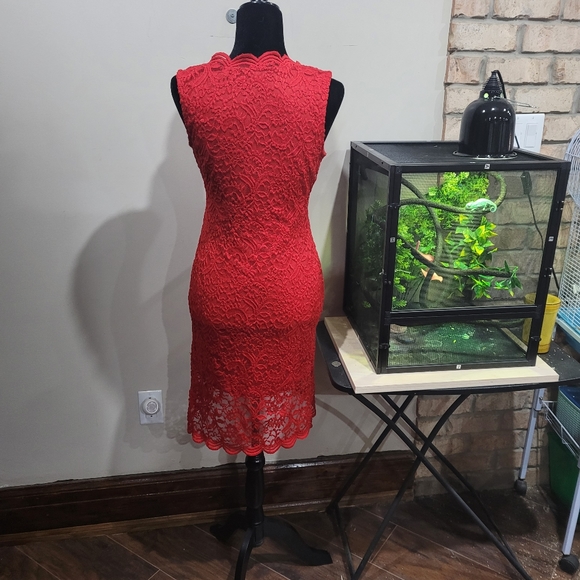 NWOT Lace overlay scalloped hem stretch dress - Picture 2 of 8